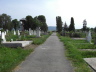 Friedhof Pankota 2008-03