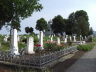 Friedhof Pankota 2008-04